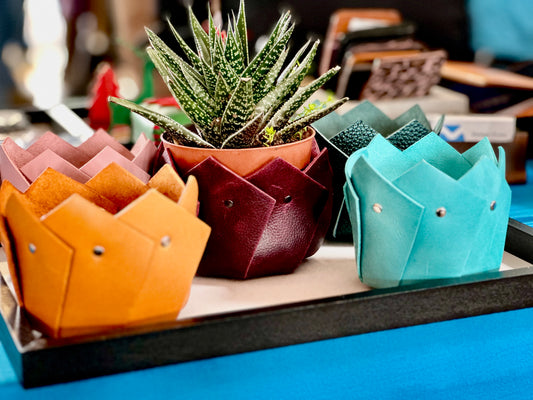 Plant Cozy
